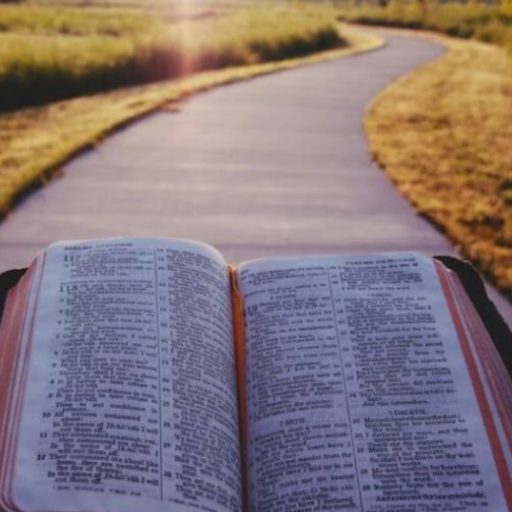 Bible on the Path